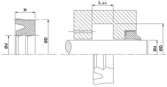 n6_tek